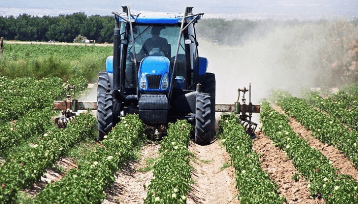 Nigerian agriculture