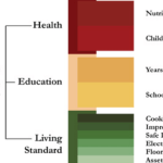 Multidimesionally-poor