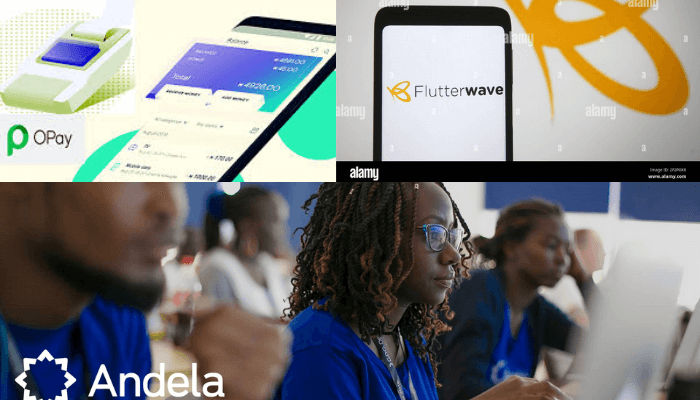 Nigeria's 3 unicorns in 2021