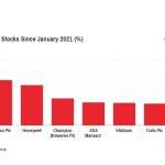 Investors return graph