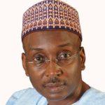 APC chieftain wants inclusion of e-voting in new electoral law 