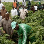Security on harvest farm produce