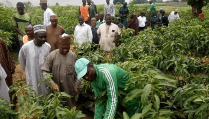 Security on harvest farm produce