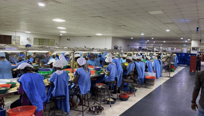 British International Investment