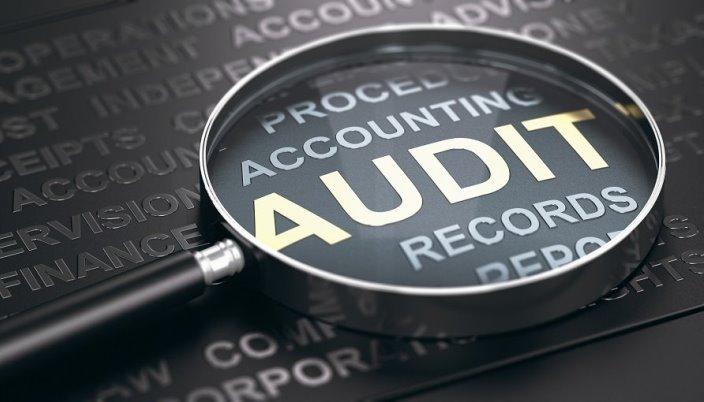 Independent Audit