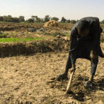 Nigeria’s Agriculture Agenda