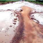FG secures new funding for Gombe-Biu federal road, others