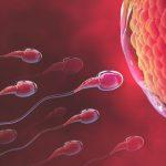 Understanding a diagnosis of unexplained infertility