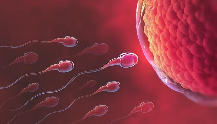 Understanding a diagnosis of unexplained infertility