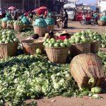 Wrong alarms about Nigeria's food insecurity