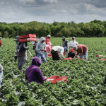 agric budgetary allocation