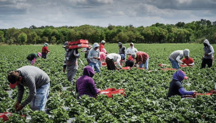 agric budgetary allocation