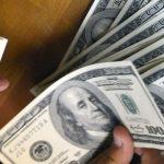 foreign portfolio investment