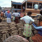 Taiwan eyes investment in Nigeria's manufacturing, agriculture sectors to drive export