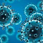 Omicron Covid-19 variant found in Europe before discovery in South-Africa