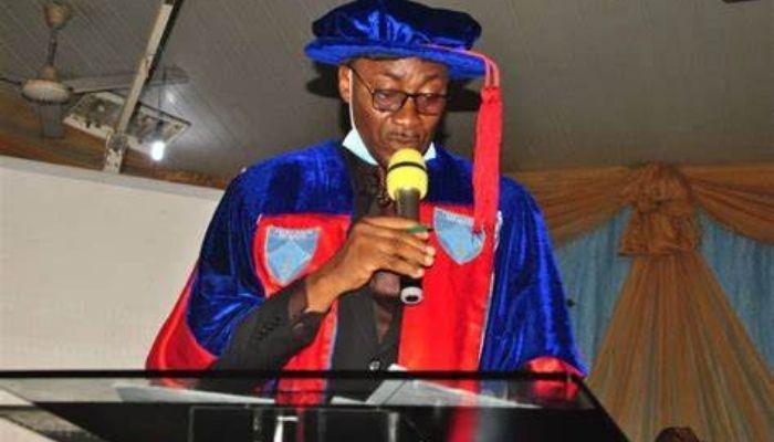 Ezionye Eboh, Professor of Management