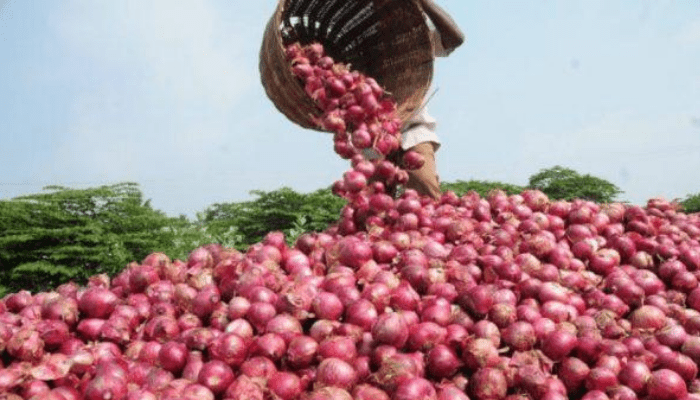 Price of onions in Nigeria