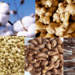 Five commodities Nigeria can leverage to boost export