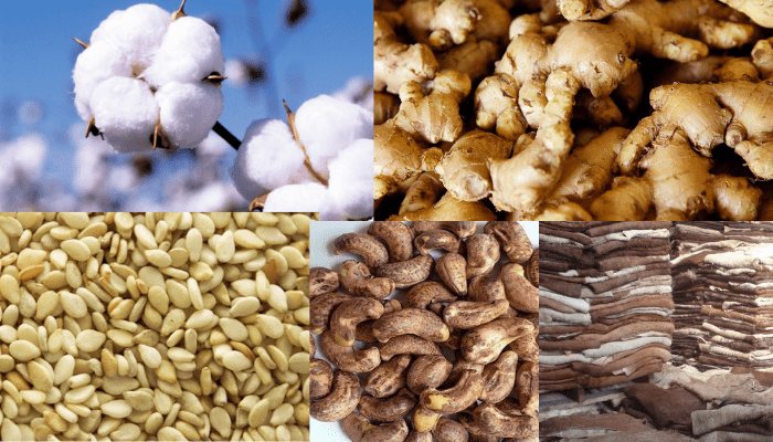 Five commodities Nigeria can leverage to boost export