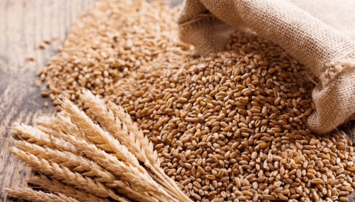 Wheat