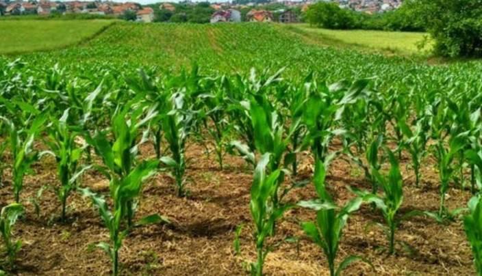 Agroecology in Africa