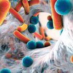 FG warns against inappropriate use of antimicrobials in food production