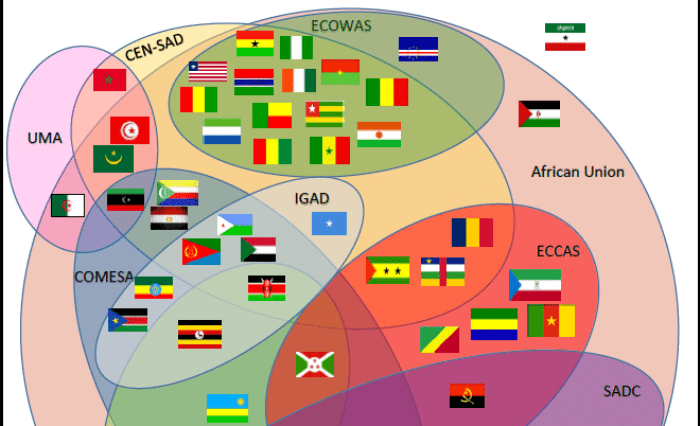 Will Africa’s young entrepreneurs turn the summit in France to economic gains?