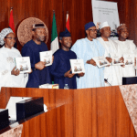 Experts say macroeconomic constraints could deter success of development plan