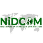 Exploring credible alternatives for diaspora investments in the real sector