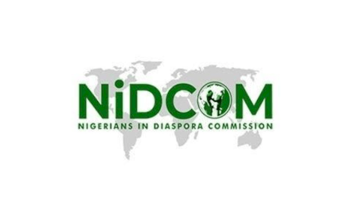 Exploring credible alternatives for diaspora investments in the real sector