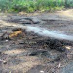 More suspensions in Chevron host communities’ leadership crisis in Bayelsa