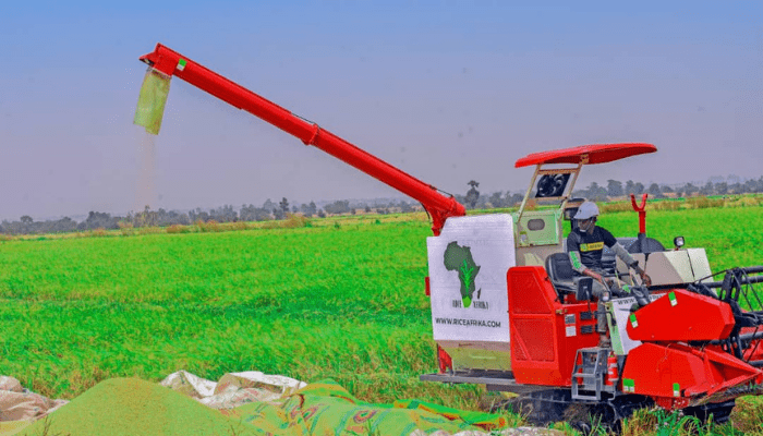 RiceAfrika