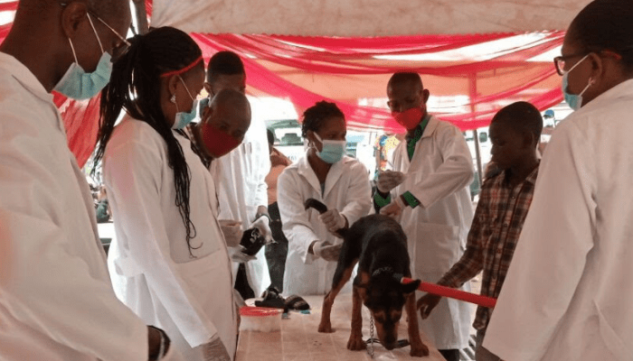 FG intensifies nationwide rabies vaccination drive
