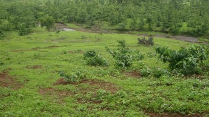 Land selling in Nigeria