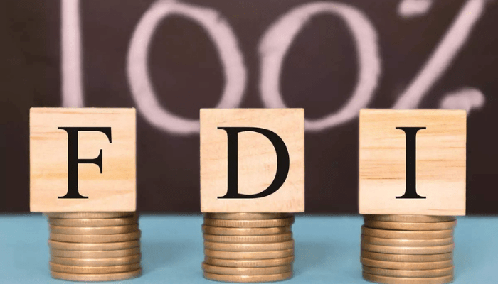 foreign direct investments (FDI)