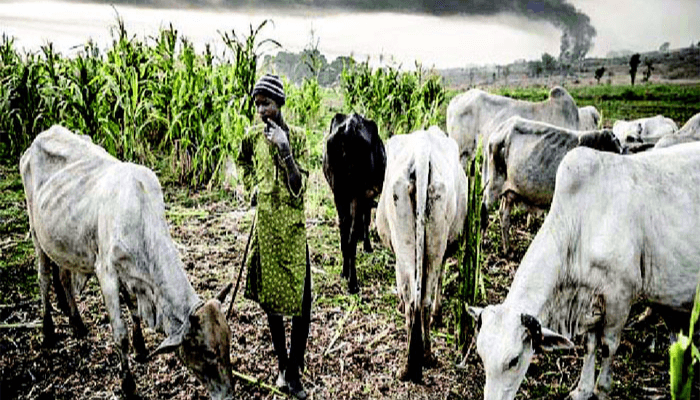 Farmers-herders clash in Taraba