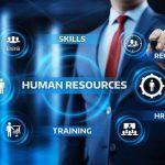 Tech firm launches BlooHR to streamline HR, payroll for businesses