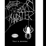 Never Marry a Writer