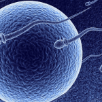 Fertility treatments