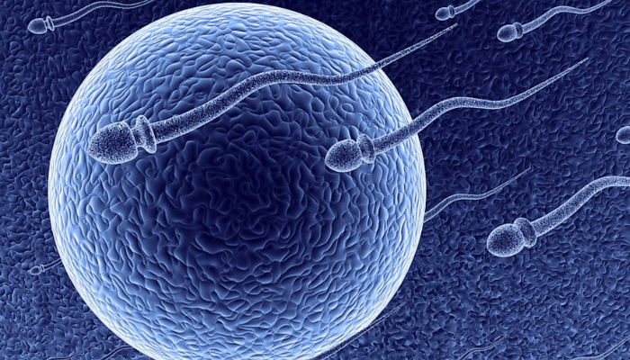 Fertility treatments