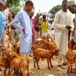 goat farmers
