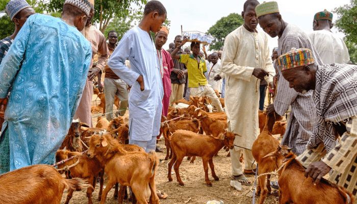 goat farmers