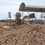 Nigeria's cassava