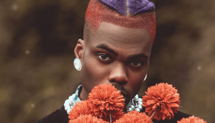 Ckay, Africa’s best global selling artist, rakes over N2.6bn from Love Nwantiti