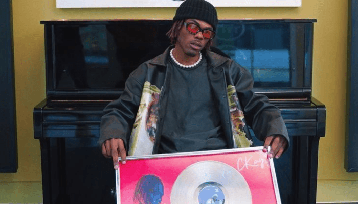 Ckay’s Love Nwantiti