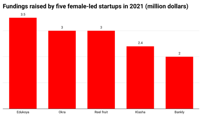 African female founders