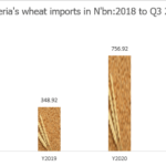 Nigeria’s wheat imports