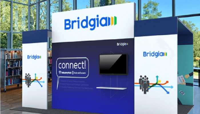 Bridgia