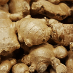 Ginger farming