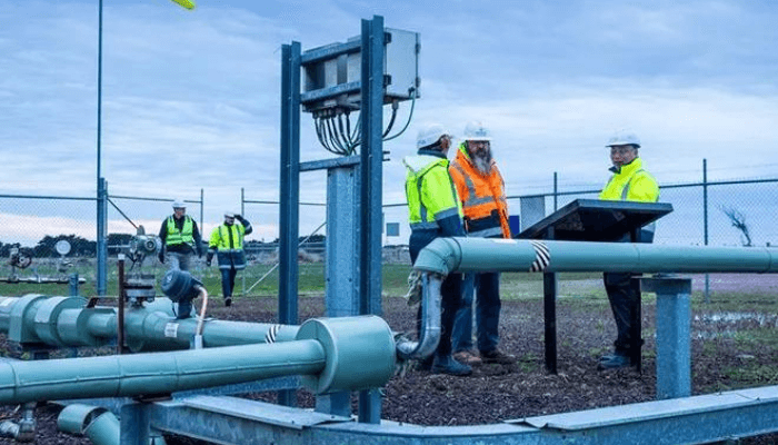 Global carbon capture